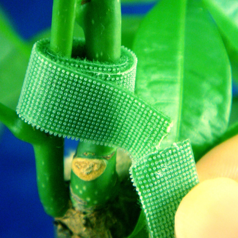 hook and loop plant tape